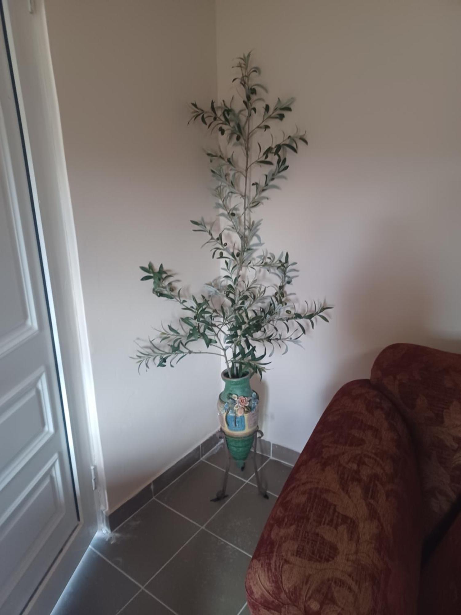 Olive Tatil Evi *