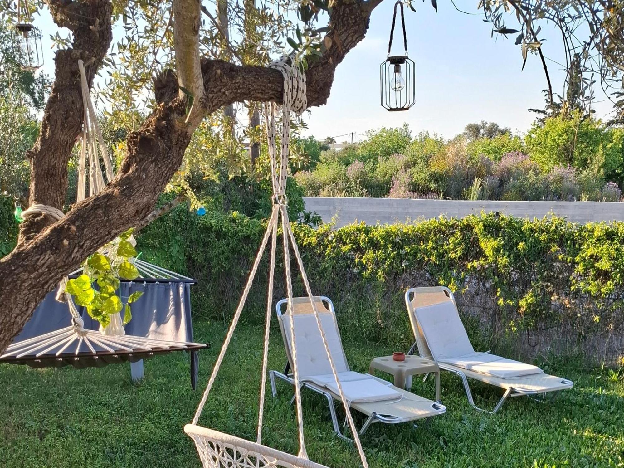 Tatil Evi Olive *