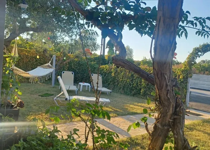 Olive Holiday Home