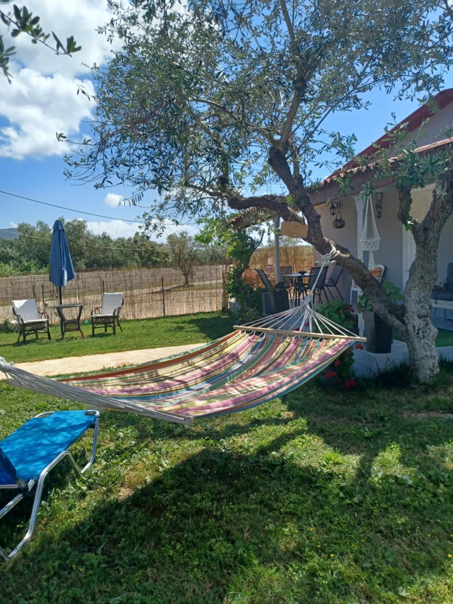 Olive Ferienhaus